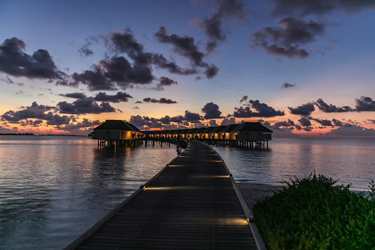 アリ環礁（Ari Atoll）