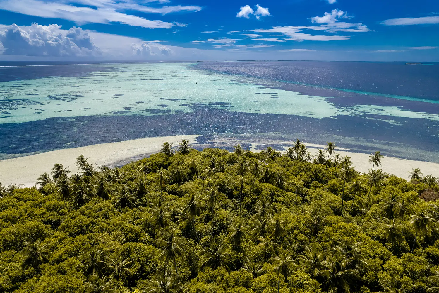 バードゥ島（Vaadhoo Island）